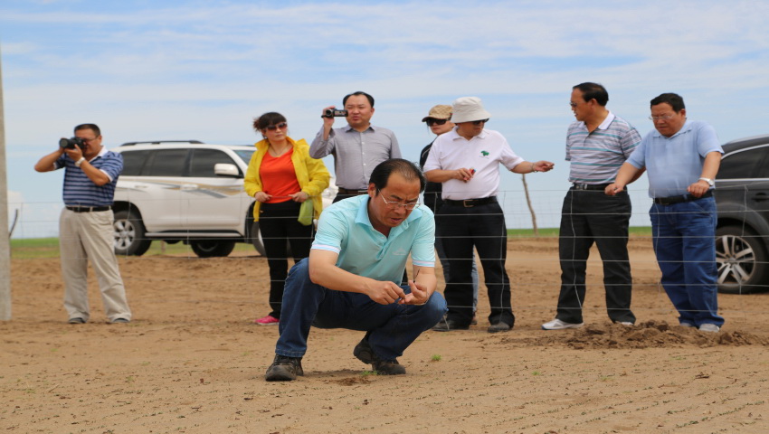 農(nóng)墾集團(tuán)公司總經(jīng)理何宗仁率隊(duì)赴田園牧歌草業(yè)集團(tuán)阿旗苜?；貦z查工作