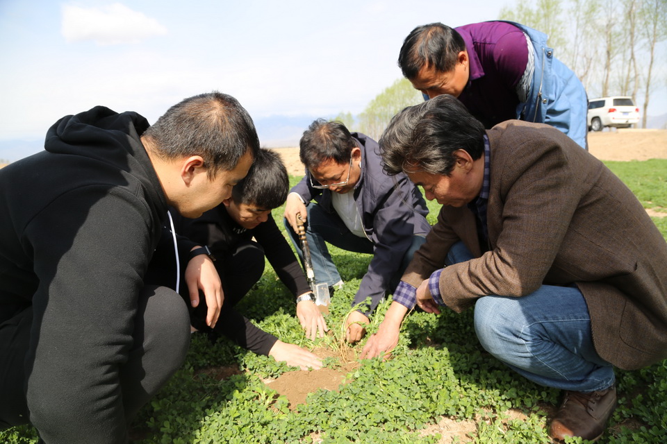 圍繞牧場建設(shè)牧草基地  有效穩(wěn)定牧草銷售市場