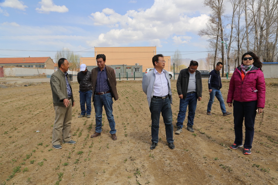 圍繞牧場建設(shè)牧草基地  有效穩(wěn)定牧草銷售市場