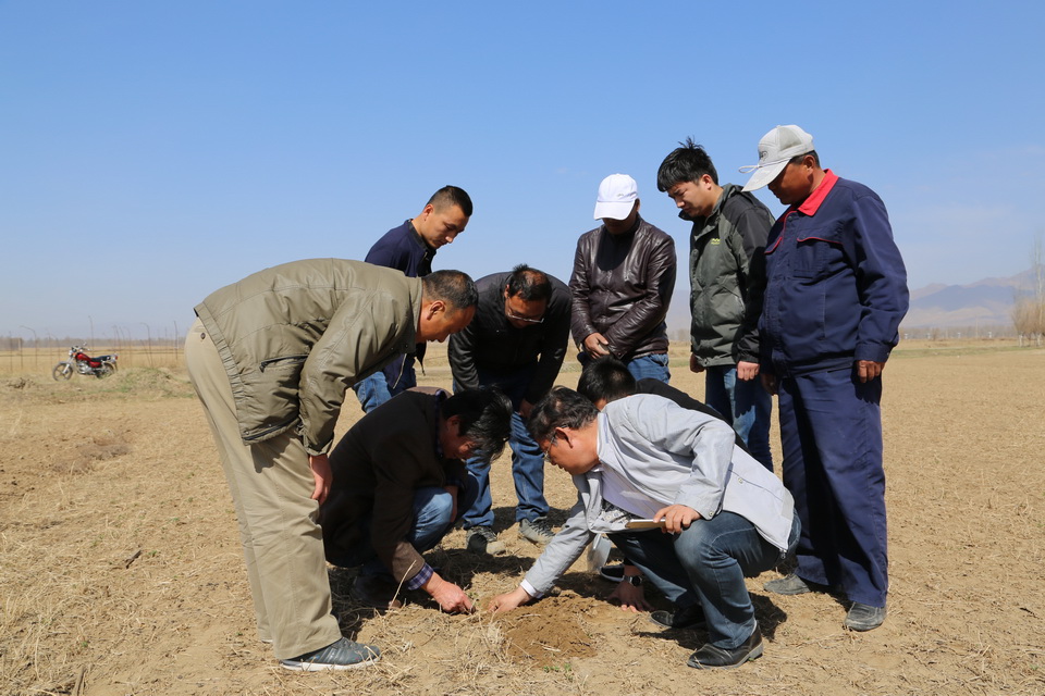 圍繞牧場建設(shè)牧草基地  有效穩(wěn)定牧草銷售市場