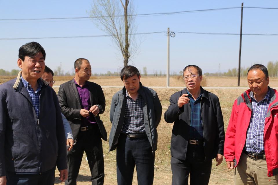 圍繞牧場建設(shè)牧草基地  有效穩(wěn)定牧草銷售市場