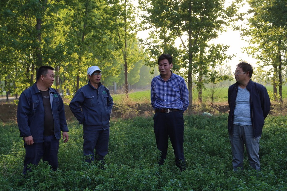 圍繞牧場建設(shè)牧草基地  有效穩(wěn)定牧草銷售市場