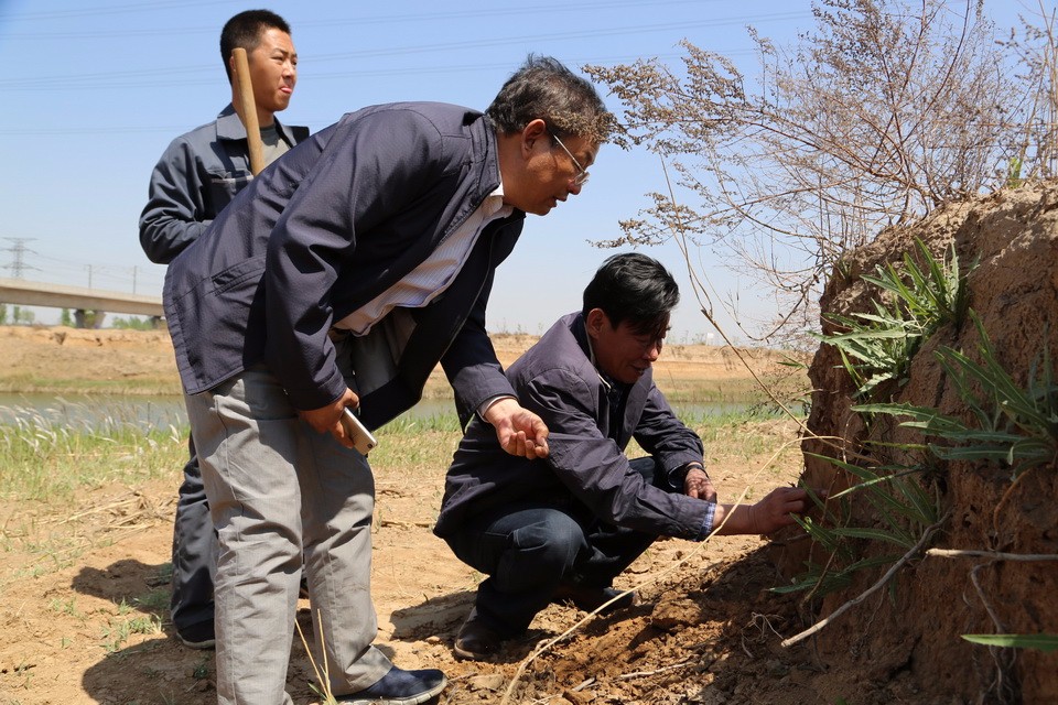 圍繞牧場建設(shè)牧草基地  有效穩(wěn)定牧草銷售市場