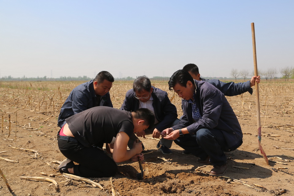 圍繞牧場建設(shè)牧草基地  有效穩(wěn)定牧草銷售市場