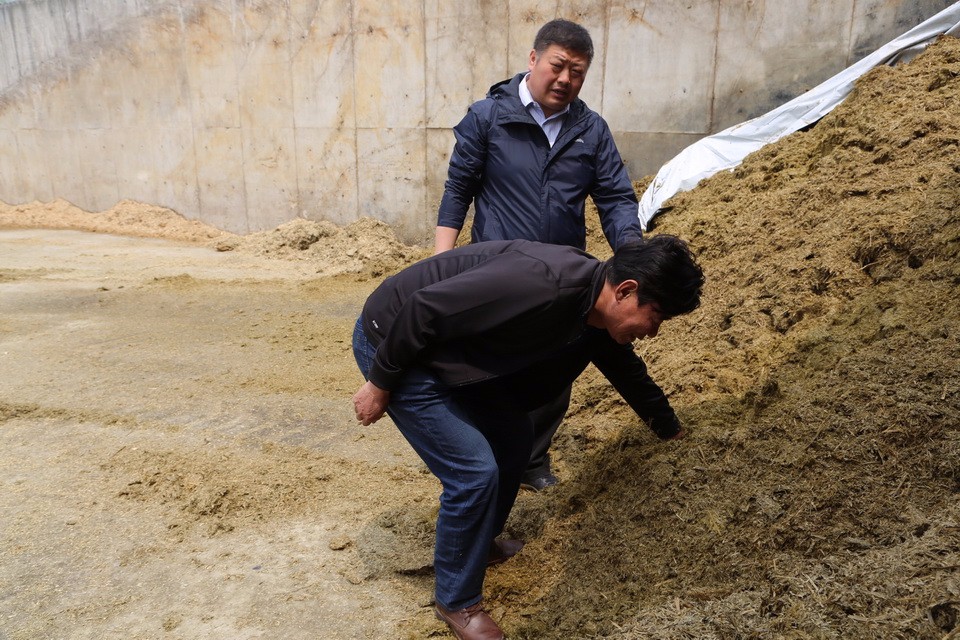 圍繞牧場建設(shè)牧草基地  有效穩(wěn)定牧草銷售市場