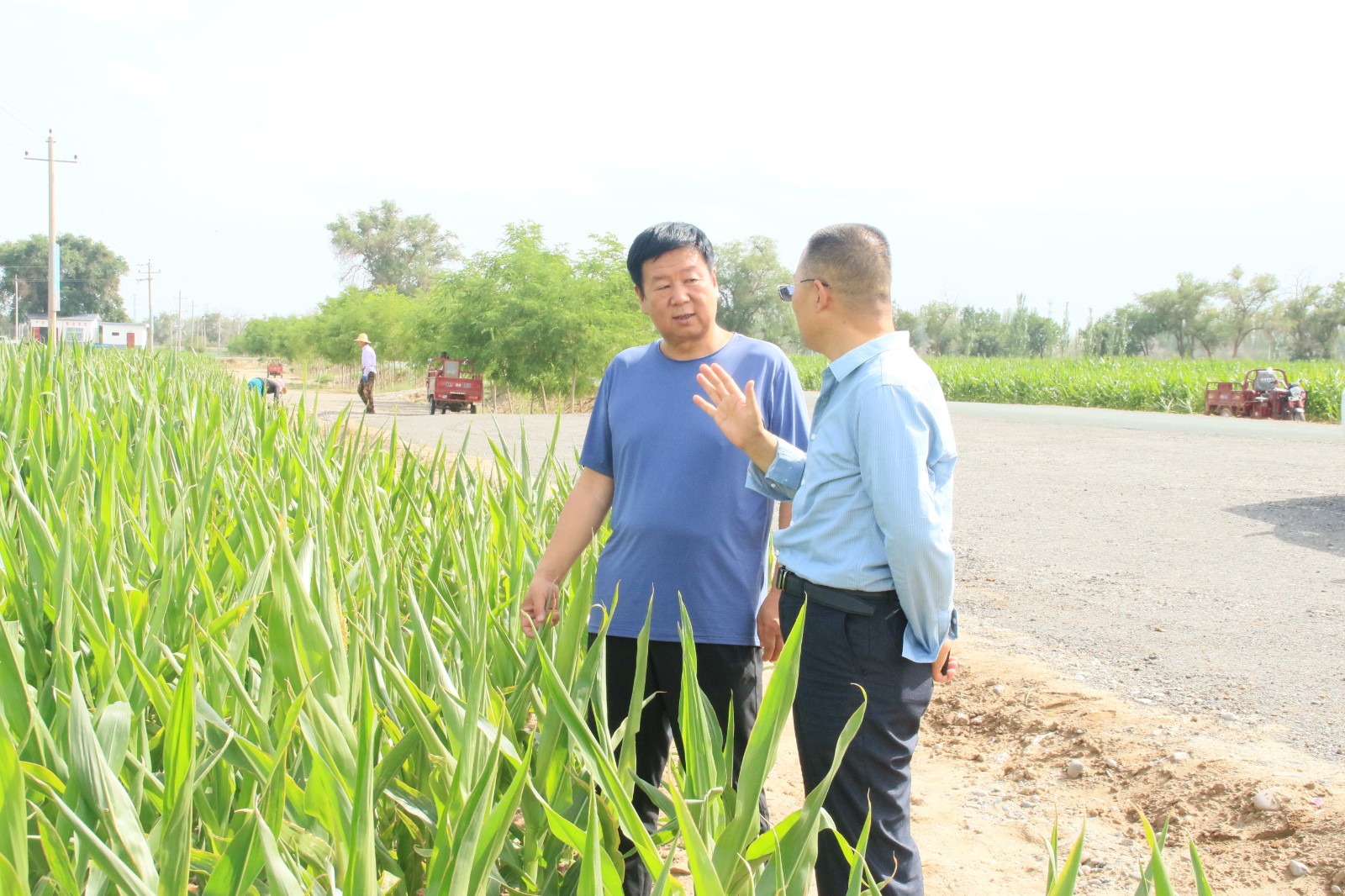 惟實勵新 精進臻善 --亞盛田園牧歌草業(yè)集團有限責任公司赴黃羊河集團開展“對標一流”學習交流活動