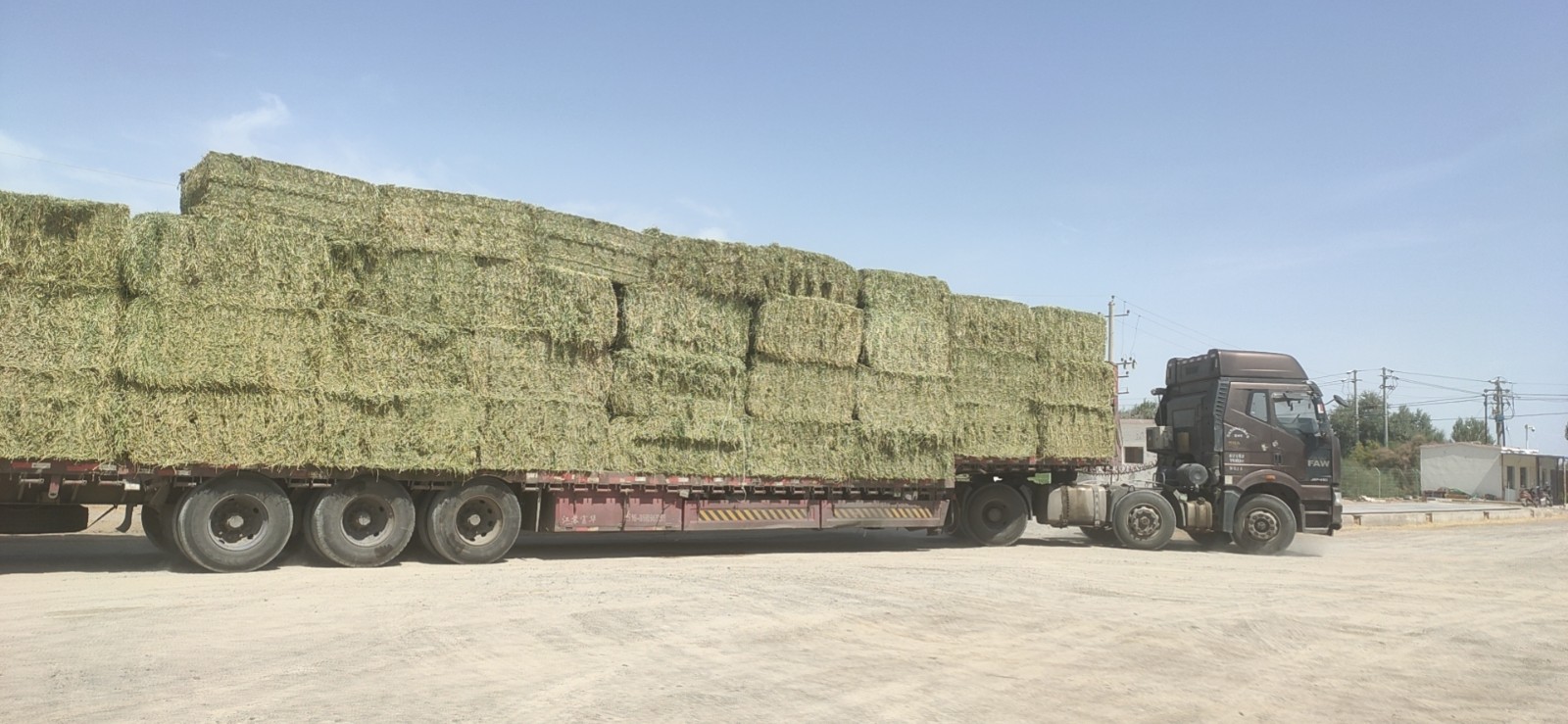 【基層動態(tài)】疫情防控不松懈 牧草銷售裝車忙